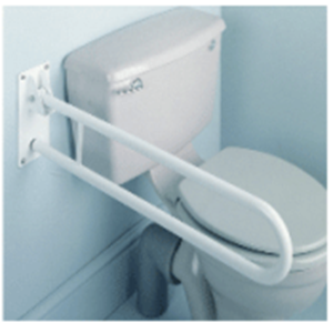 Picture for category Grab Bars & Rails
