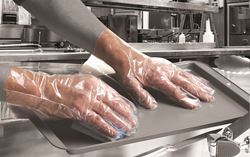 Picture of POLYTHENE GLOVES (PE) - 100