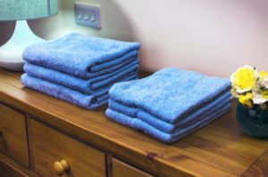 Picture for category Towels & Flannels