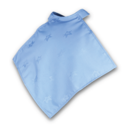 BIB09B.png