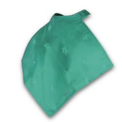 BIB09G.png