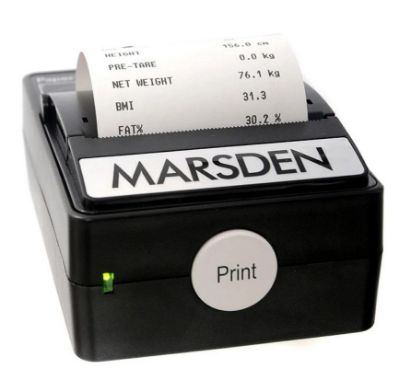 Picture of TP-2100 Printer